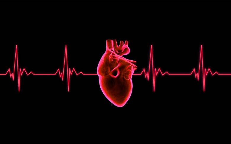 red heartbeat graph, glowing red anatomical heart, black background, SD Desktop Wallpaper