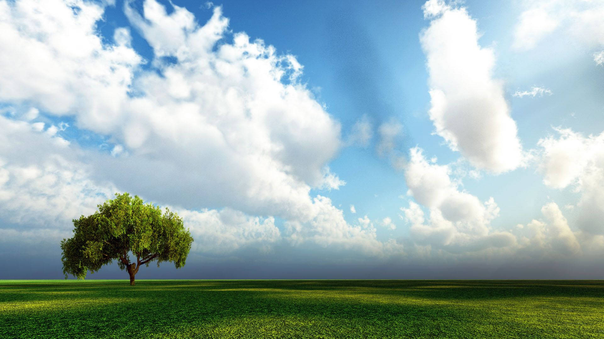 Heaven, tree, vast field, Full HD Desktop Wallpaper