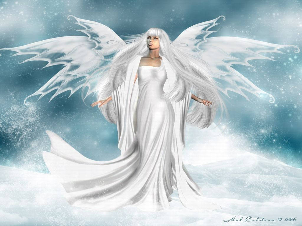 Heavenly Angels, white hair, expansive wings, SD Desktop Wallpaper