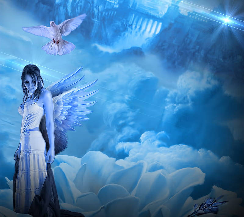 Heavenly Angels, blue wings, white dove, SD Desktop Wallpaper