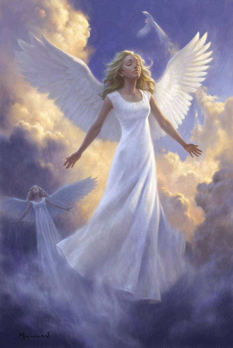 Heavenly Angels, white wings, gown, SD Phone Wallpaper