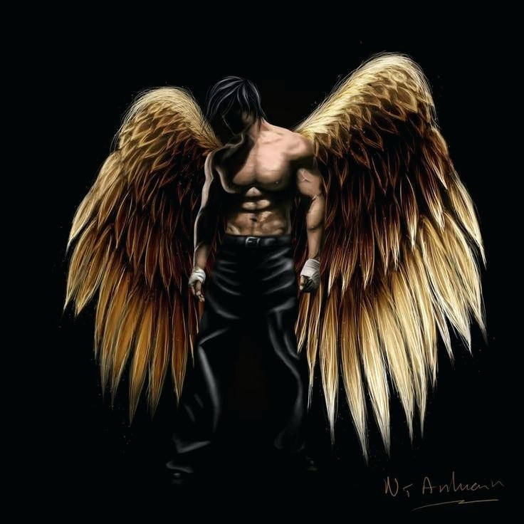 Heavenly Angels, brown wings, golden-brown feathered wings, SD Desktop Wallpaper