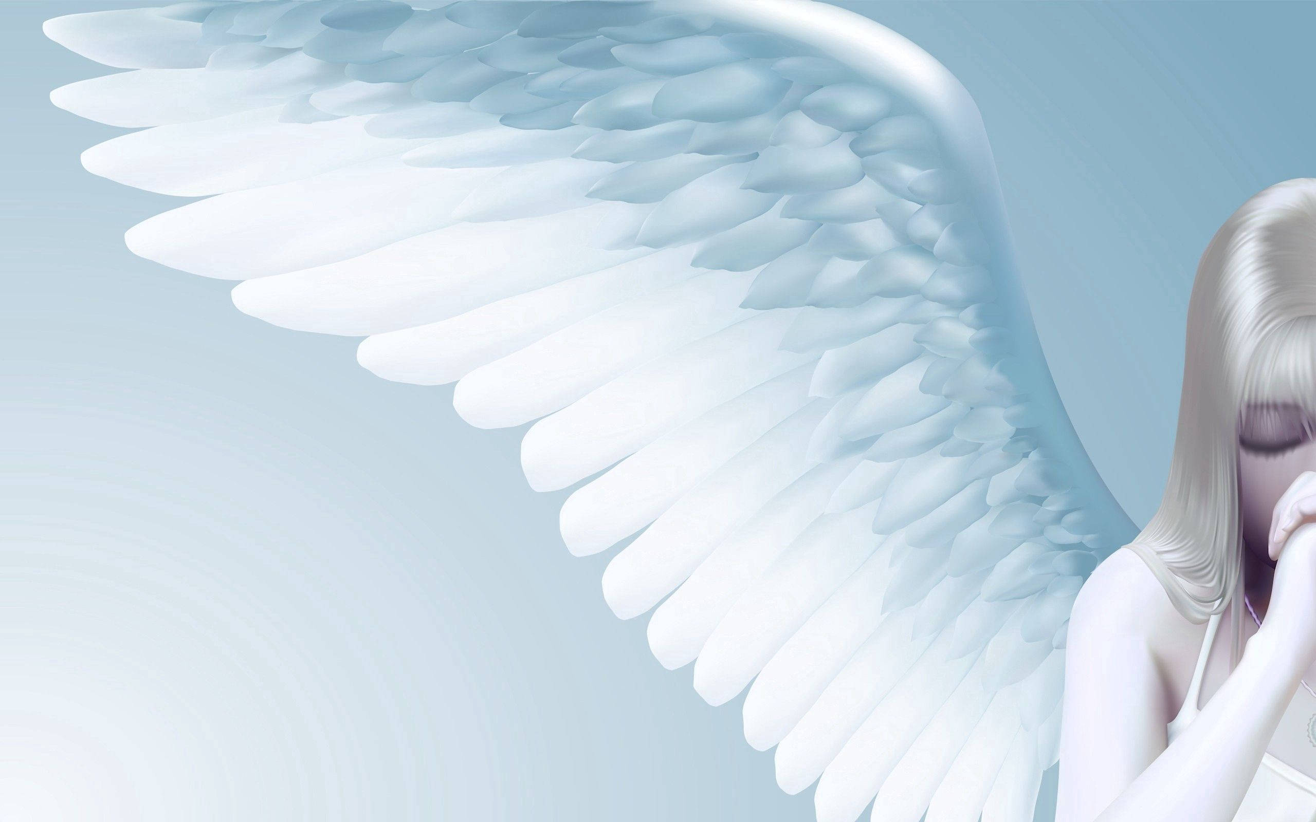 Heavenly Angels, soft feathers, large white wings, 2K Desktop Wallpaper