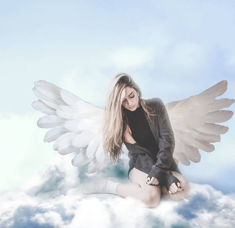 Heavenly Angels, white feathered wings, fluffy clouds, SD Desktop Wallpaper