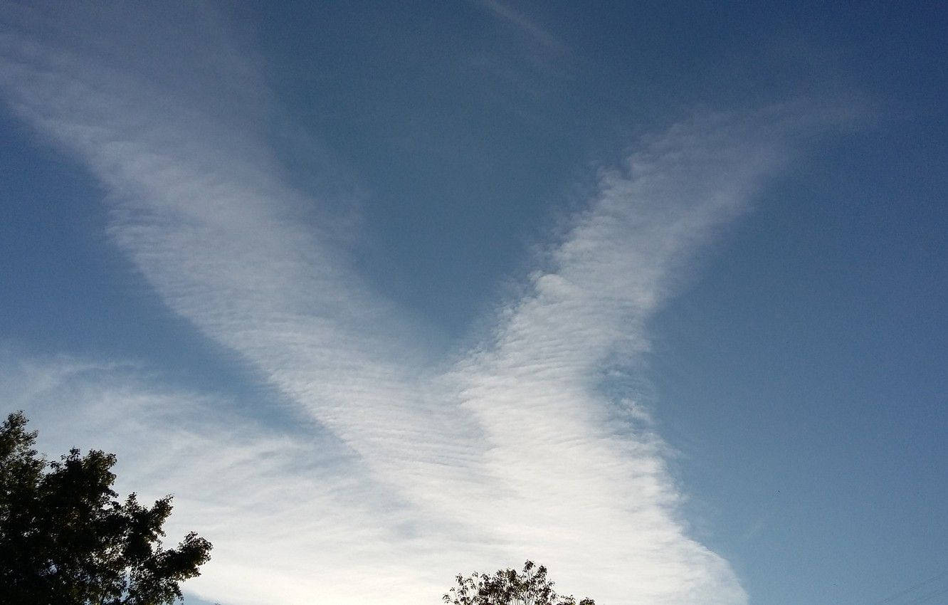 heavenly clouds, wispy clouds, clear blue sky, HD Desktop Wallpaper