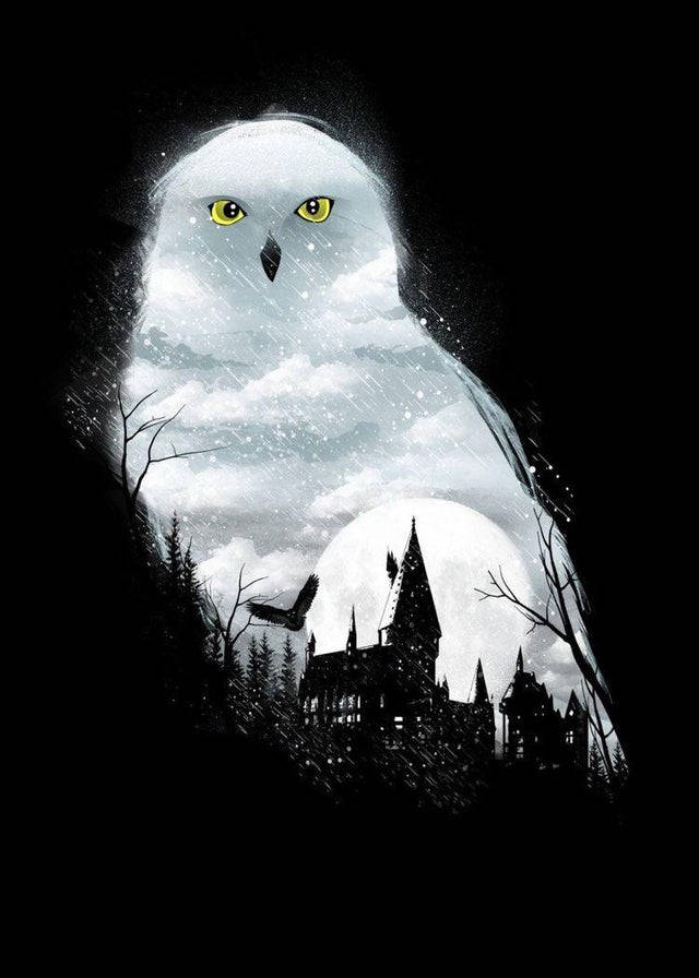 Hedwig, snowy owl, glowing yellow eyes, SD Phone Wallpaper