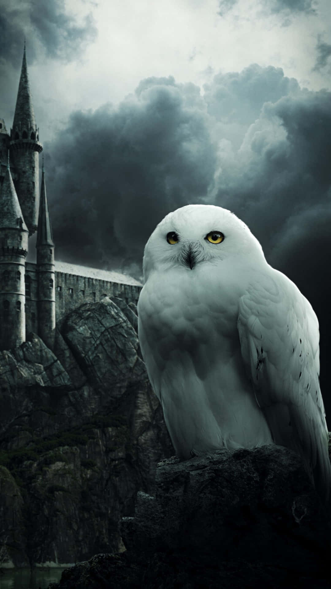 Hedwig, white owl, piercing yellow eyes, Full HD Phone Wallpaper