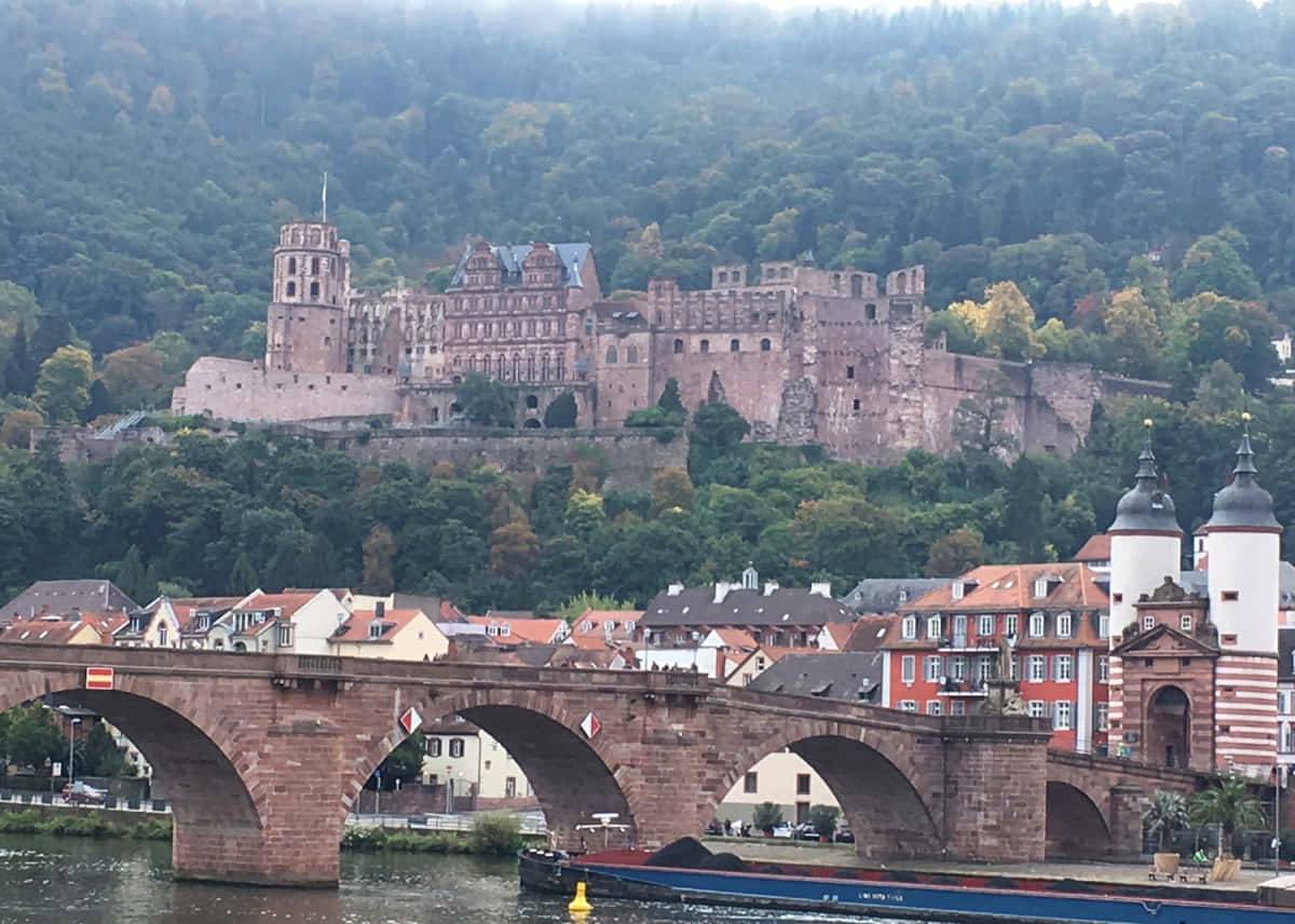 Heidelberg Castle, foggy morning, stone bridge, SD Desktop Wallpaper