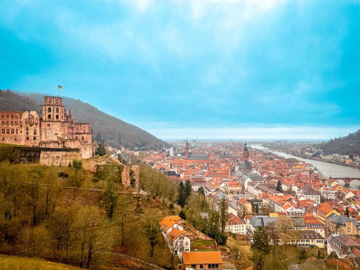 Heidelberg Castle, city view, red rooftops, HD Desktop Wallpaper