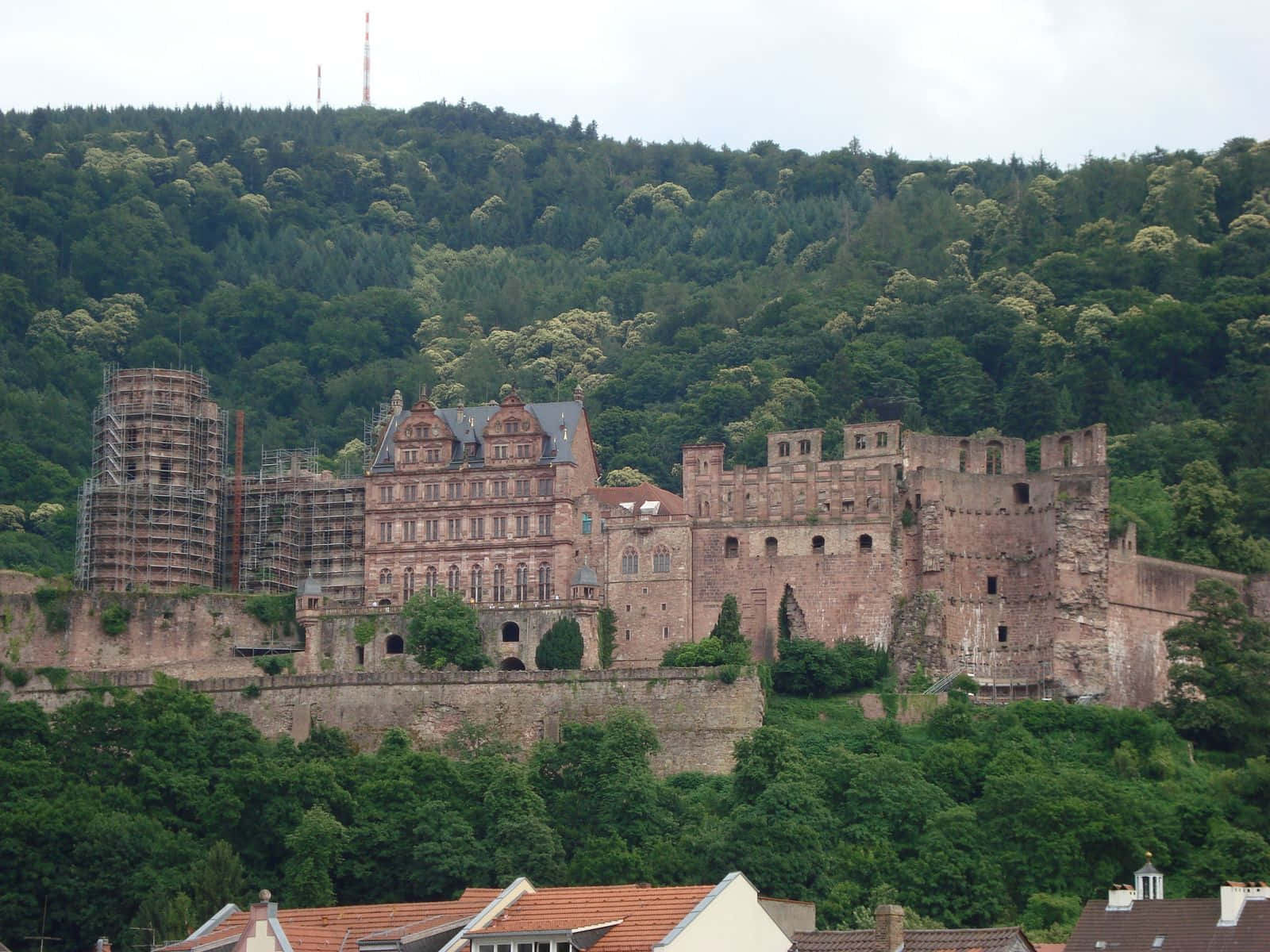 Heidelberg Castle, stone ruins, scaffolding, HD Desktop Wallpaper