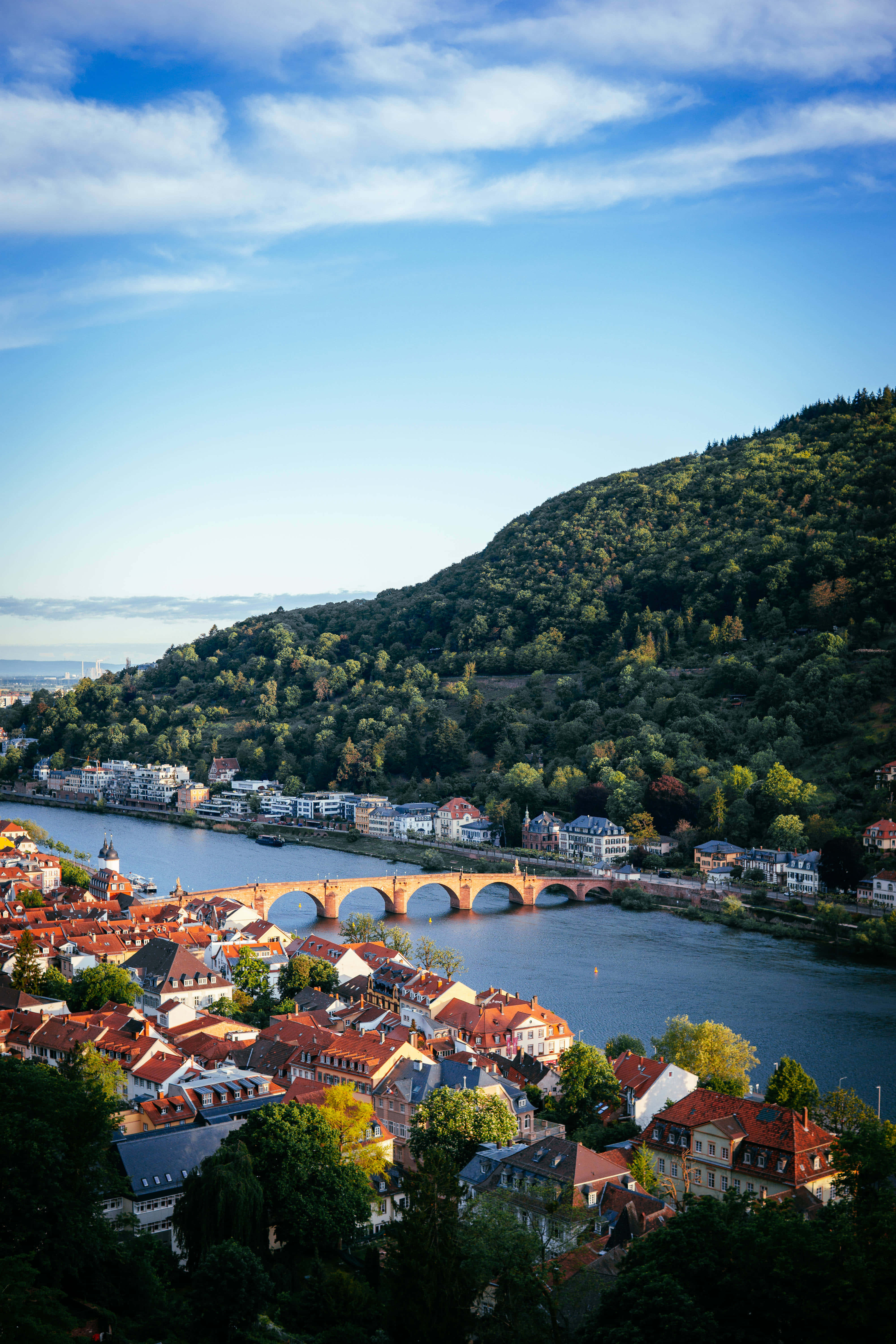 Heidelberg Castle, red-roofed houses, stone bridge, 5K Phone Wallpaper