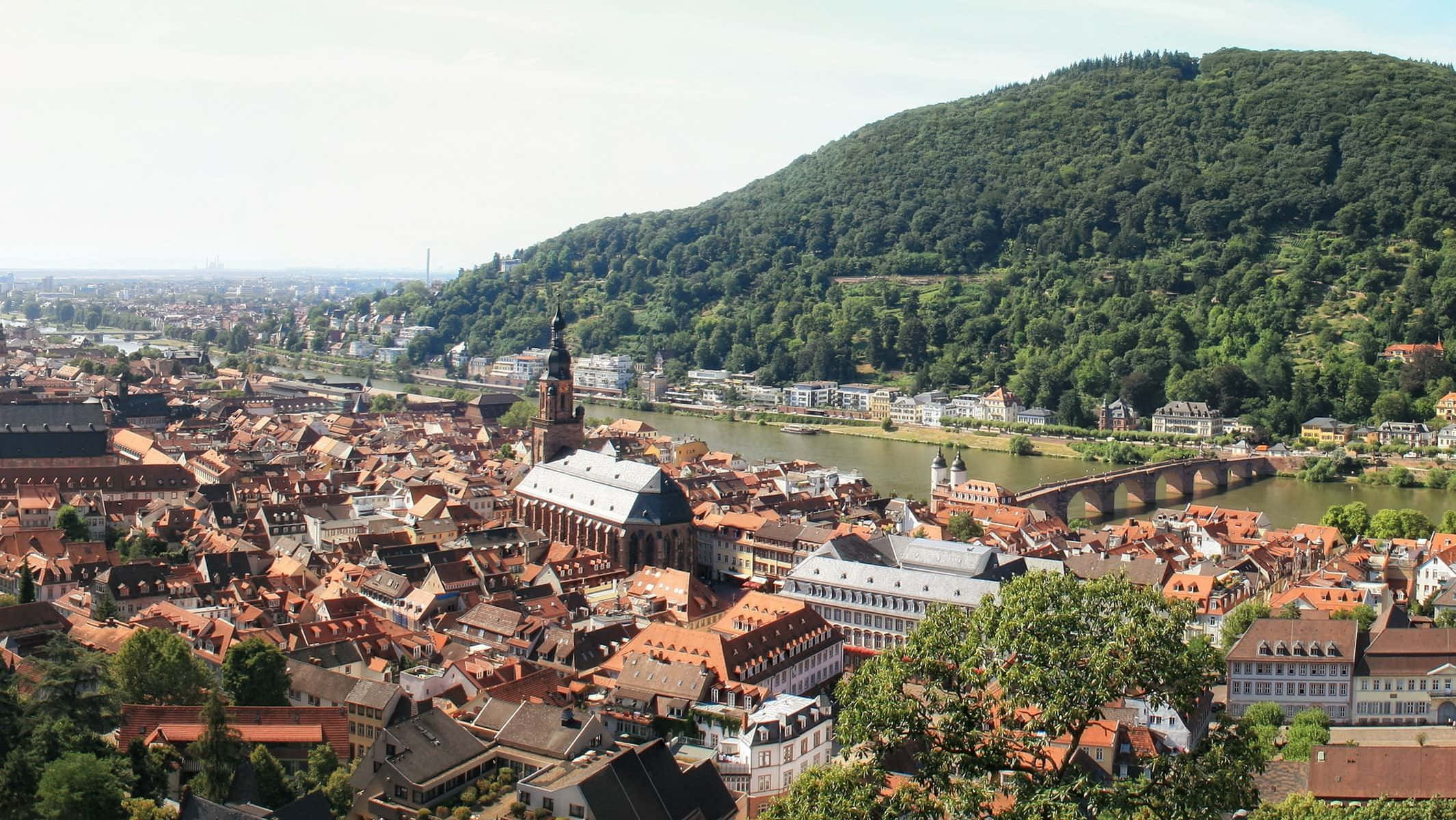 Heidelberg Castle, historic European town, red-tiled roofs, Full HD Desktop Wallpaper