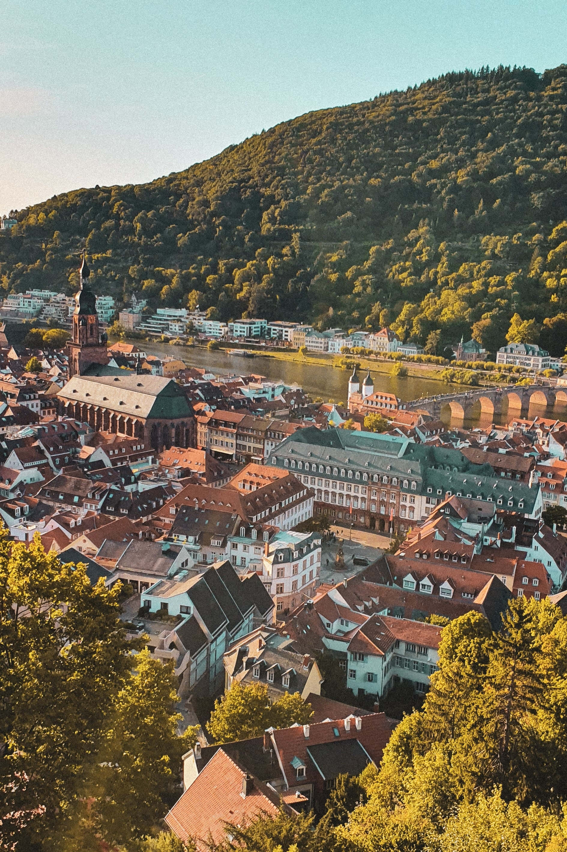 Heidelberg Castle, golden sunlight, red rooftops, 2K Phone Wallpaper