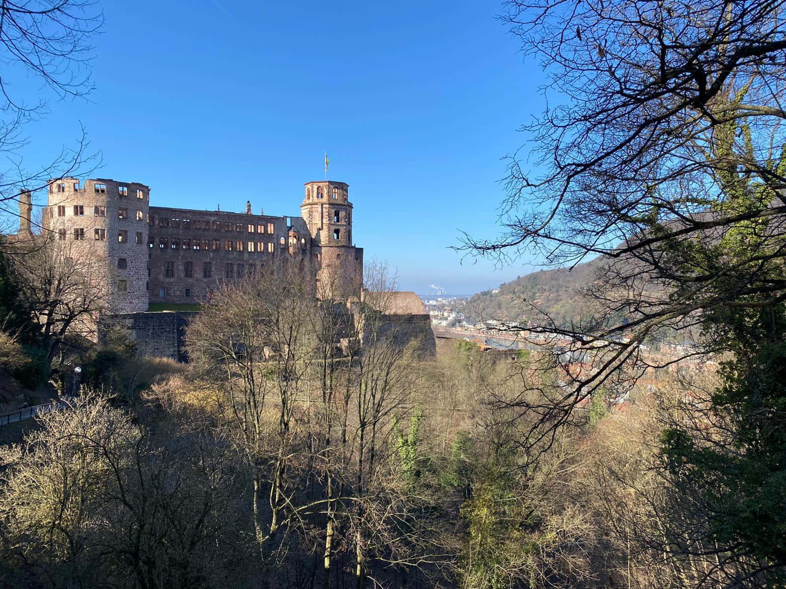 Heidelberg Castle, leafless trees, stone castle, HD Desktop Wallpaper