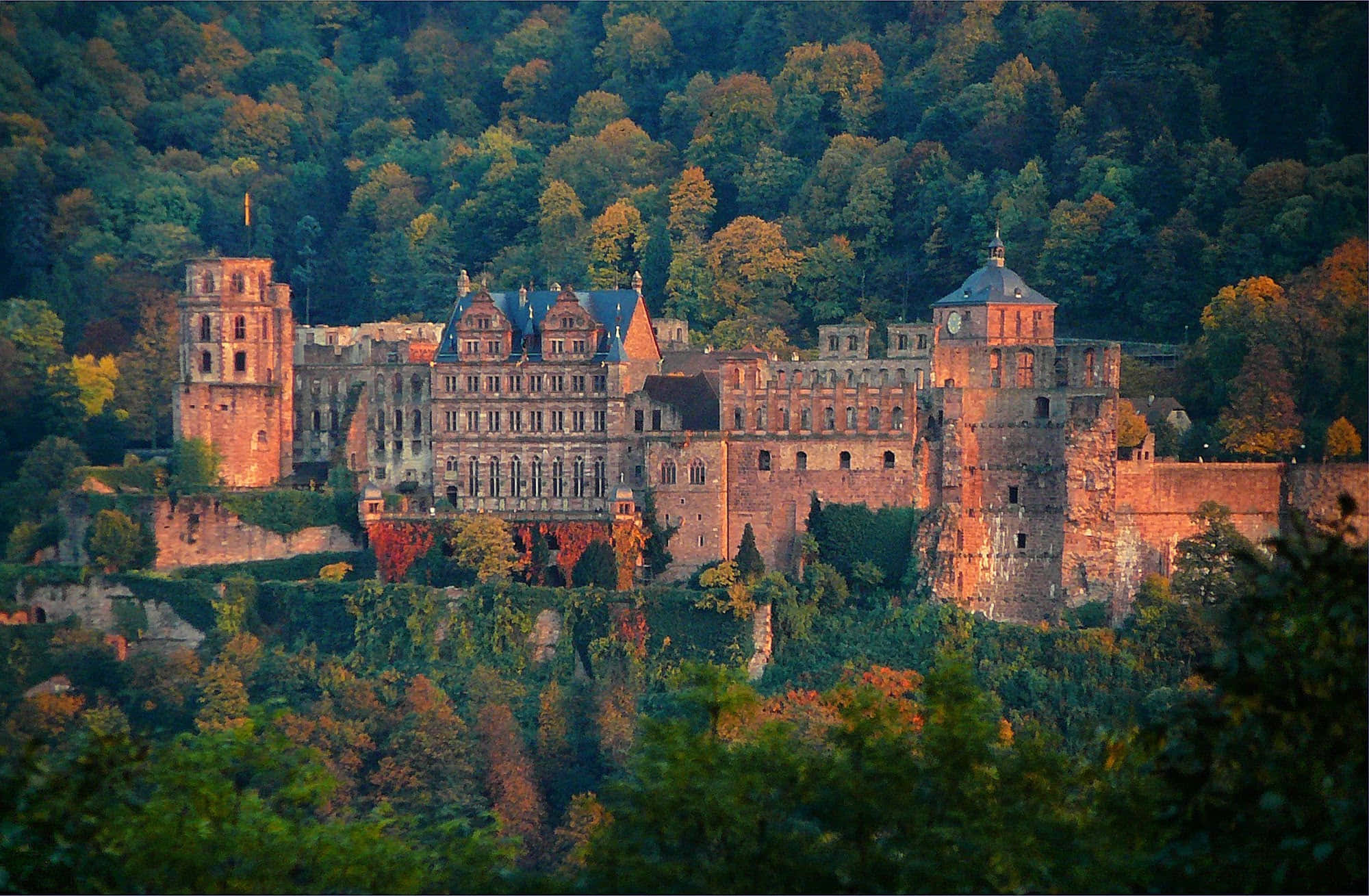 Heidelberg Castle, autumn trees, golden sunset light, Full HD Desktop Wallpaper