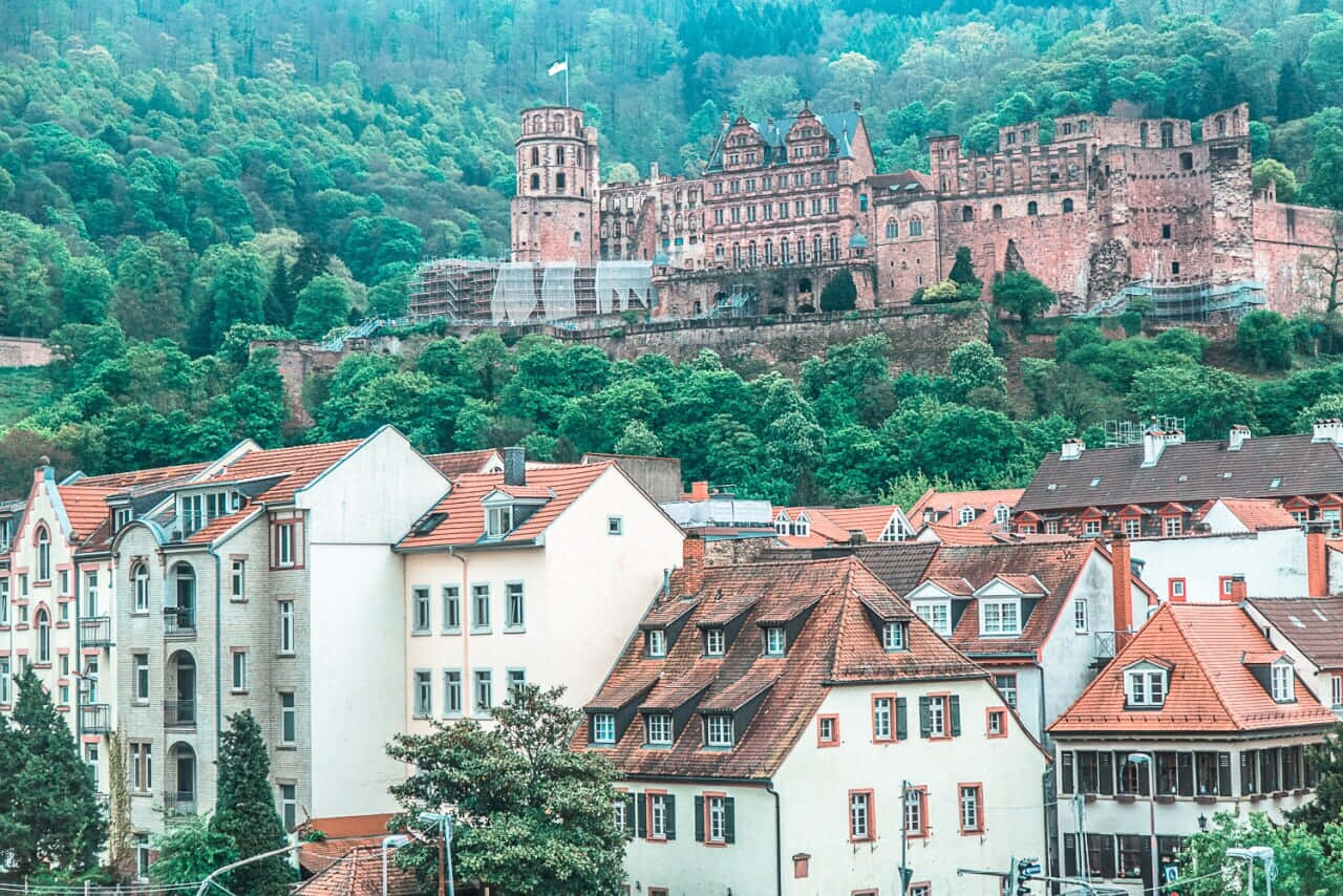 Heidelberg Castle, lush green hill, charming town, HD Desktop Wallpaper