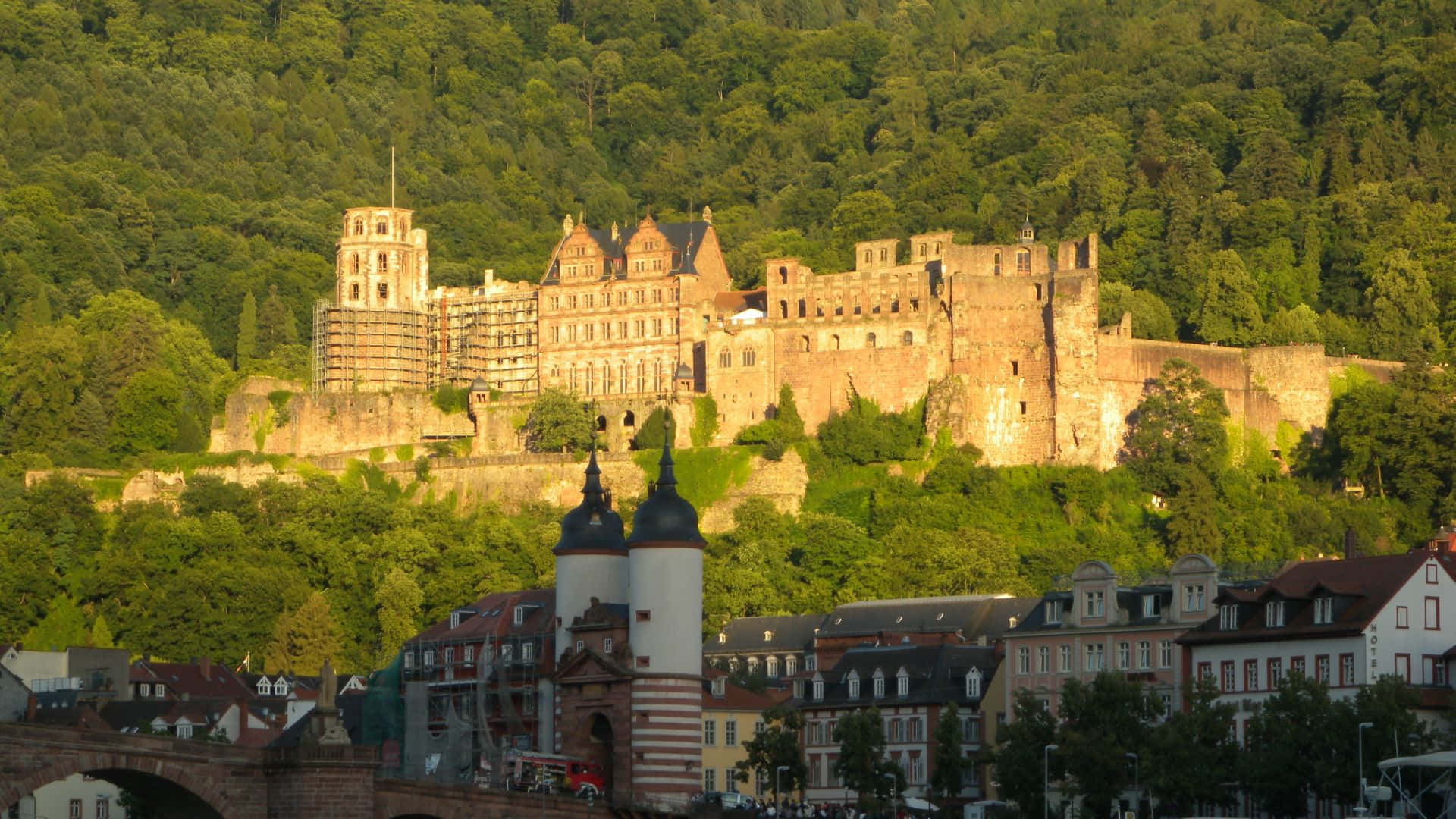 Heidelberg Castle, lush green hill, quaint town, Full HD Desktop Wallpaper