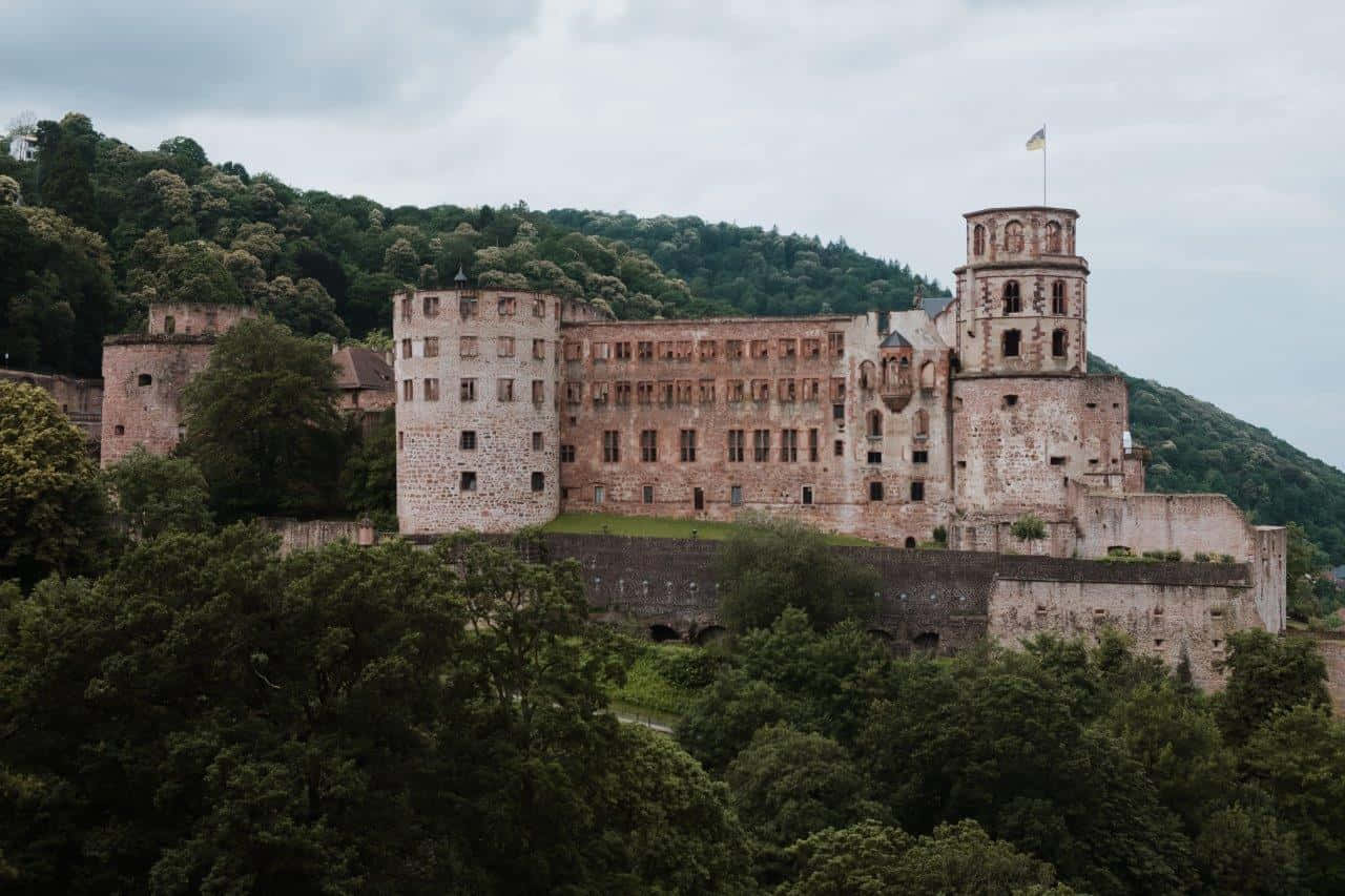 Heidelberg Castle, ancient stone castle ruins, lush green hill, HD Desktop Wallpaper