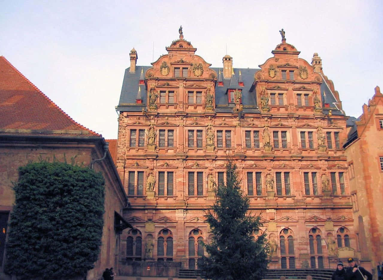 Heidelberg Castle, Renaissance building, statues, SD Desktop Wallpaper