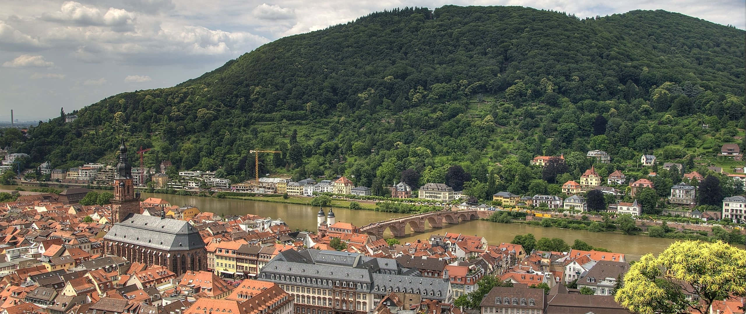 Heidelberg Castle, mountain, red-roofed buildings, 2K Desktop Wallpaper