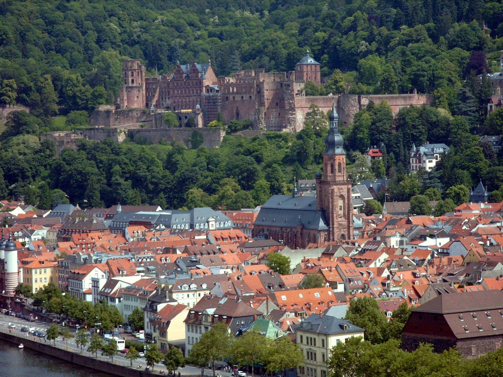 Heidelberg Castle, red-tiled roofs, river, HD Desktop Wallpaper