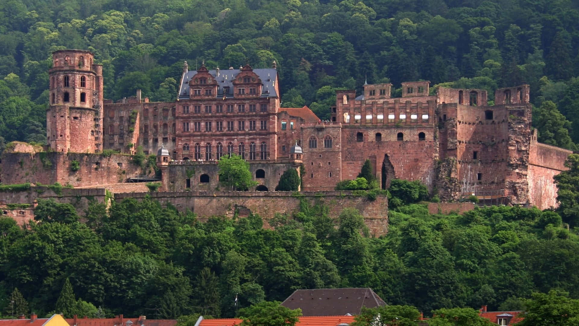 Heidelberg Castle, red stone walls, towers, Full HD Desktop Wallpaper