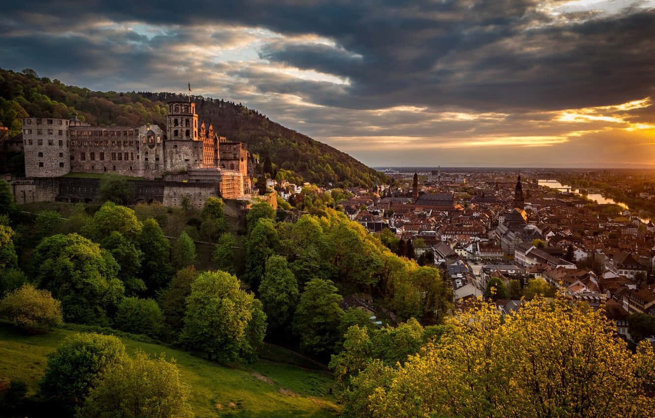 Heidelberg Castle, orange tinged sunset, forested hill, HD Desktop Wallpaper