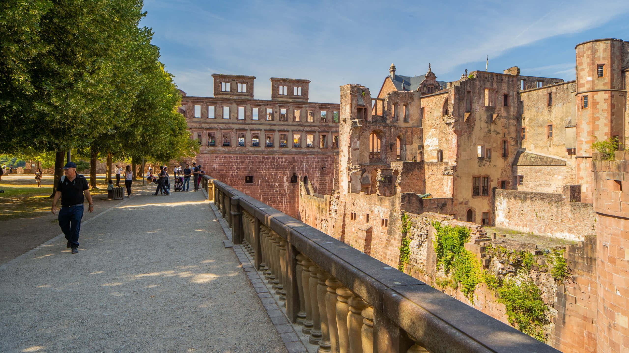 Pathway Overlooking Heidelberg Castle, Heidelberg Castle, ancient stone ruins, 2K Desktop Wallpaper