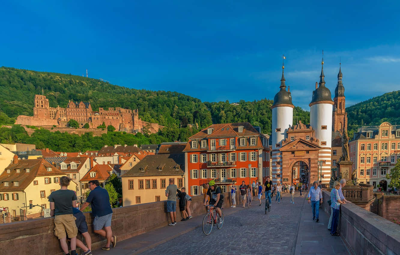 Heidelberg Castle, sunset, stone bridge, HD Desktop Wallpaper