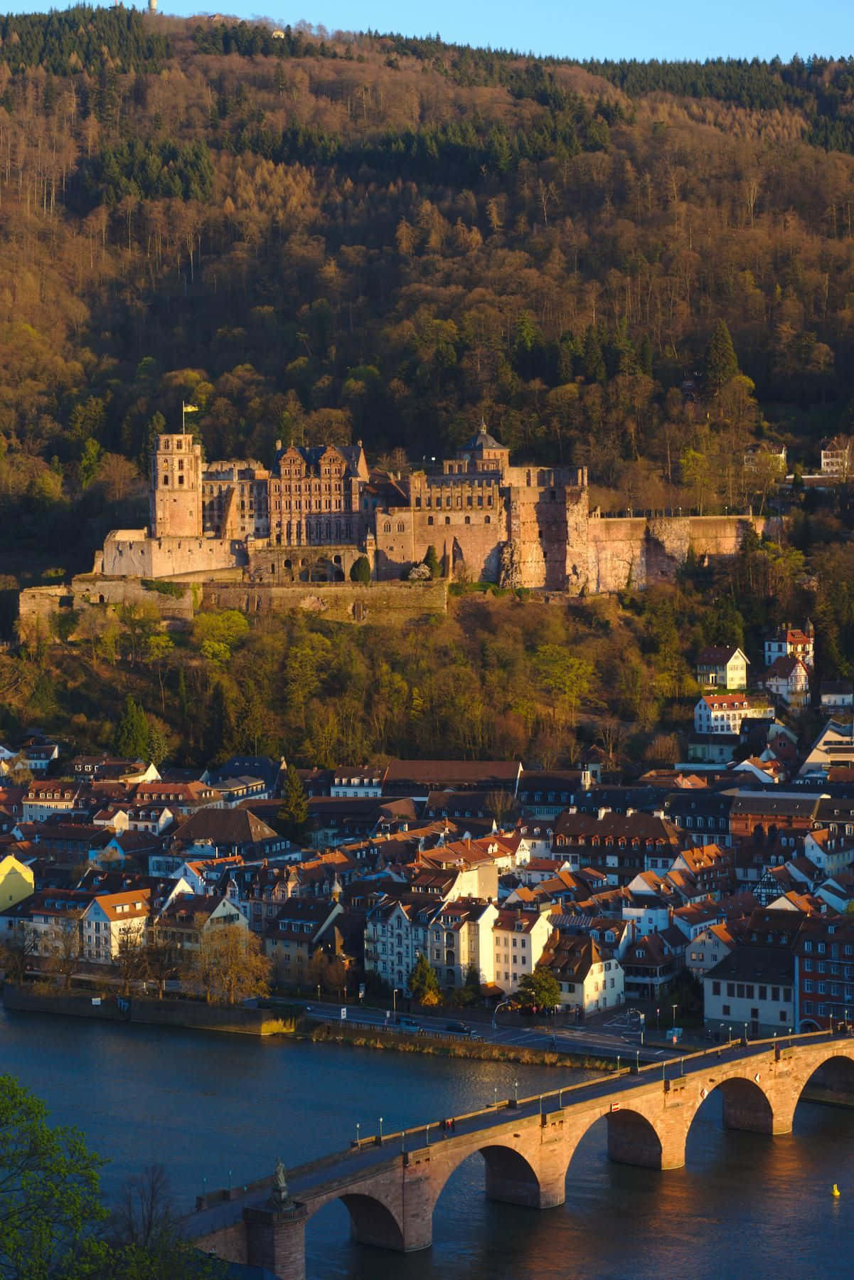 Heidelberg Castle, river town, stone bridge, HD Phone Wallpaper