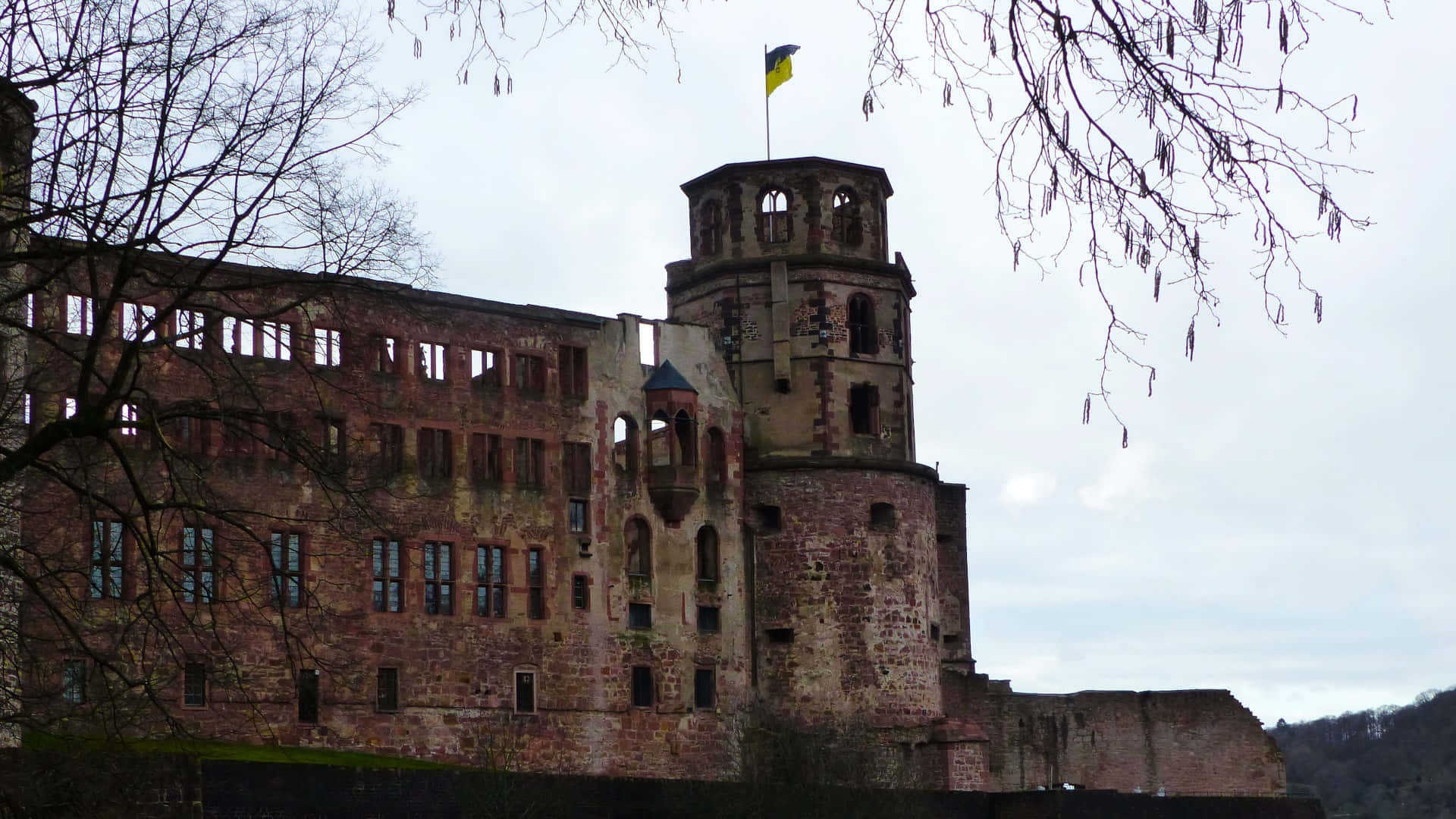 Heidelberg Castle, yellow and blue flag, stone castle ruin, Full HD Desktop Wallpaper