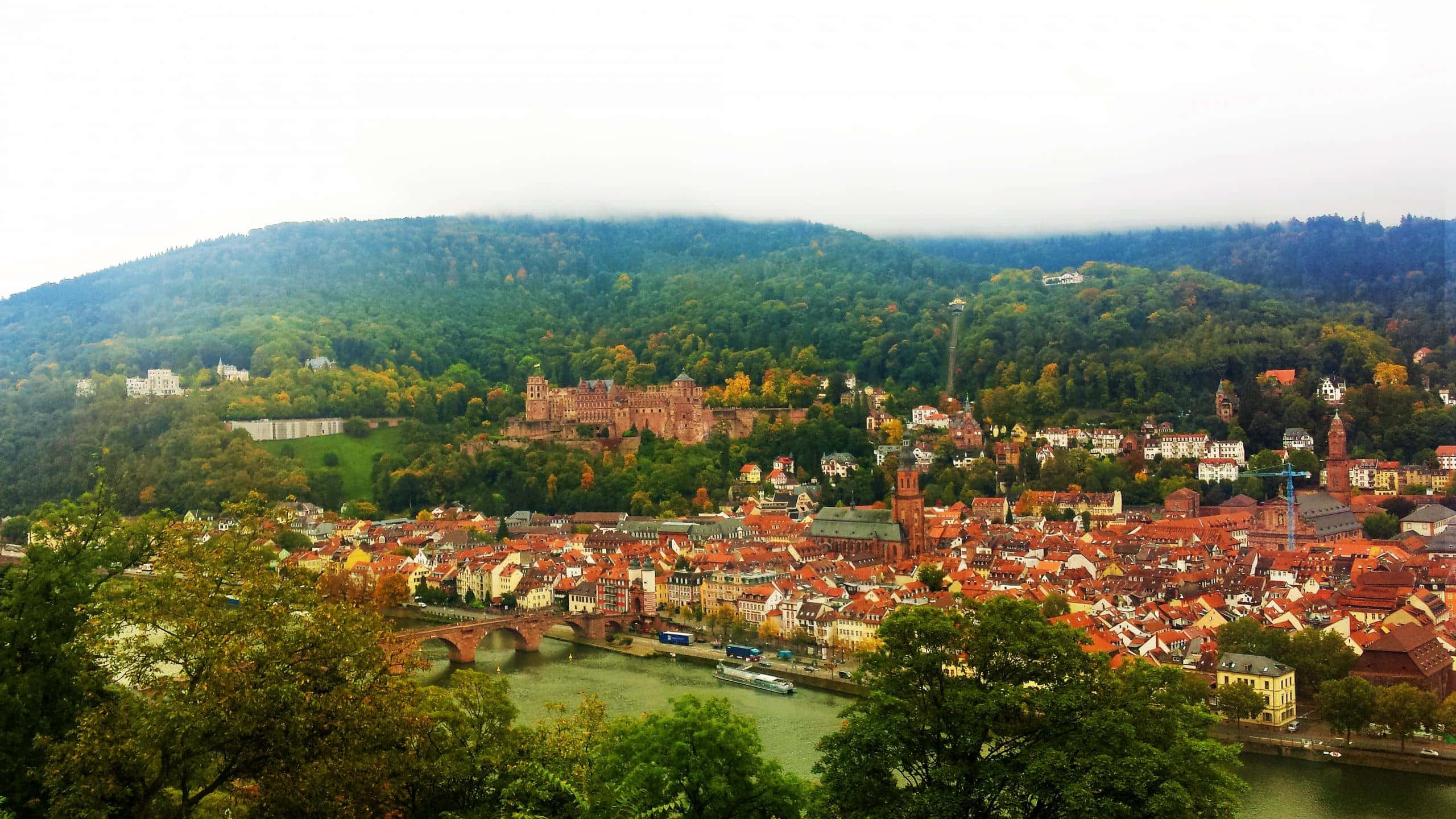Heidelberg Castle, forest, river, 2K Desktop Wallpaper