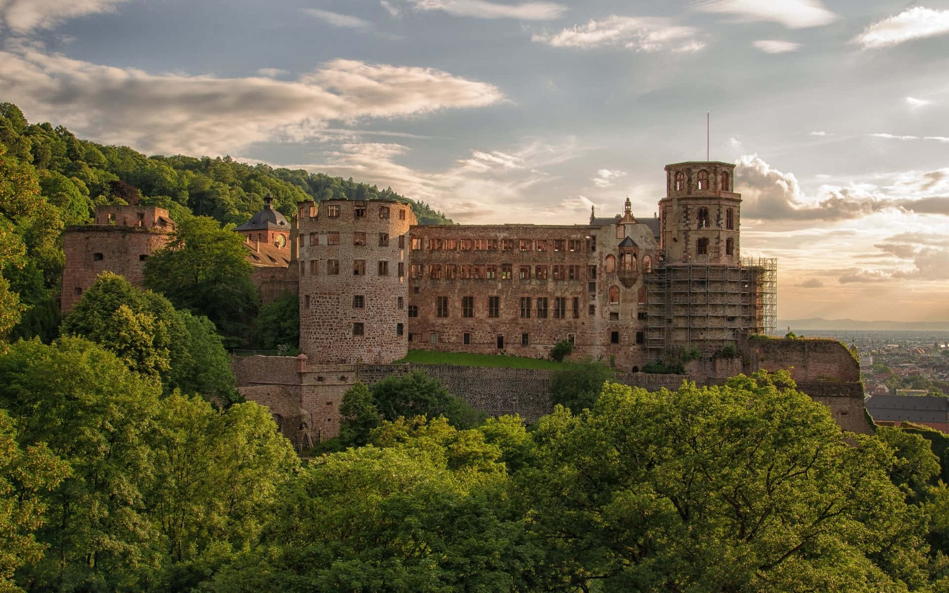 Heidelberg Castle, lush green hill, golden sunset light, Full HD Desktop Wallpaper