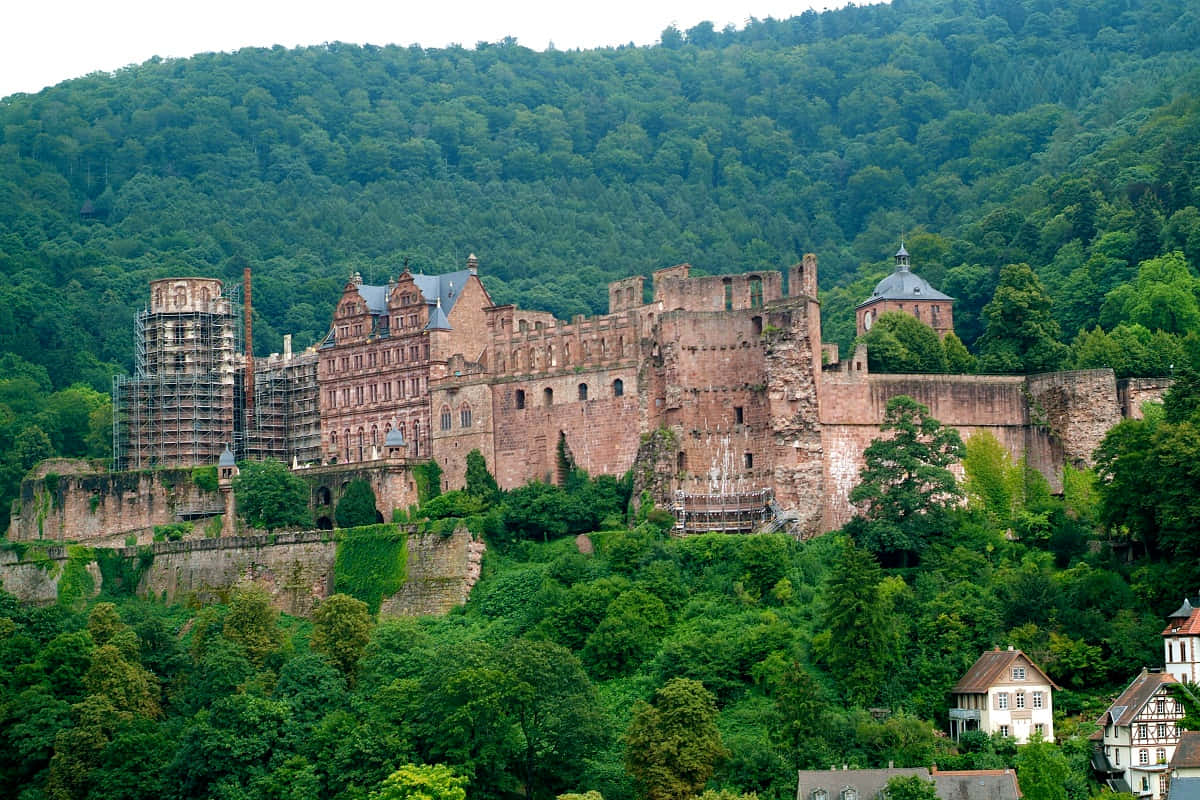 Heidelberg Castle, deep green forest, stone ruins, SD Desktop Wallpaper
