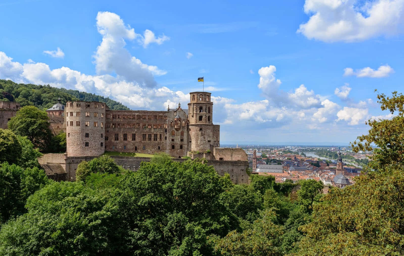 Heidelberg Castle, lush green hill, sprawling town, HD Desktop Wallpaper