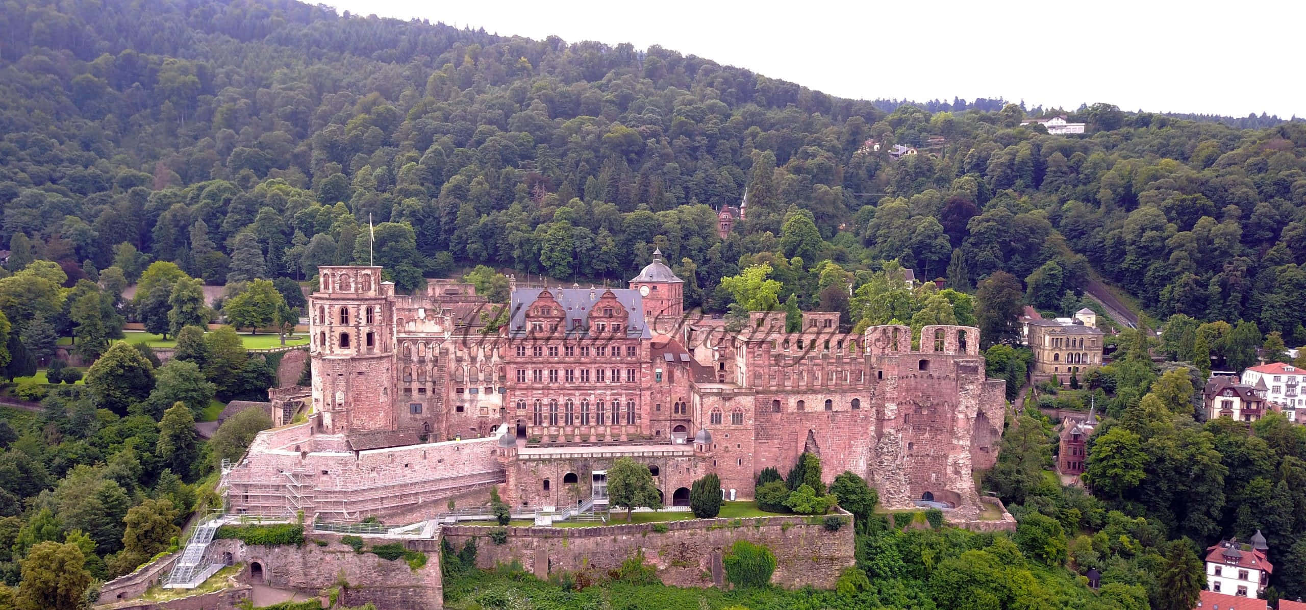 Heidelberg Castle, old ruins, lush green hill, 2K Desktop Wallpaper