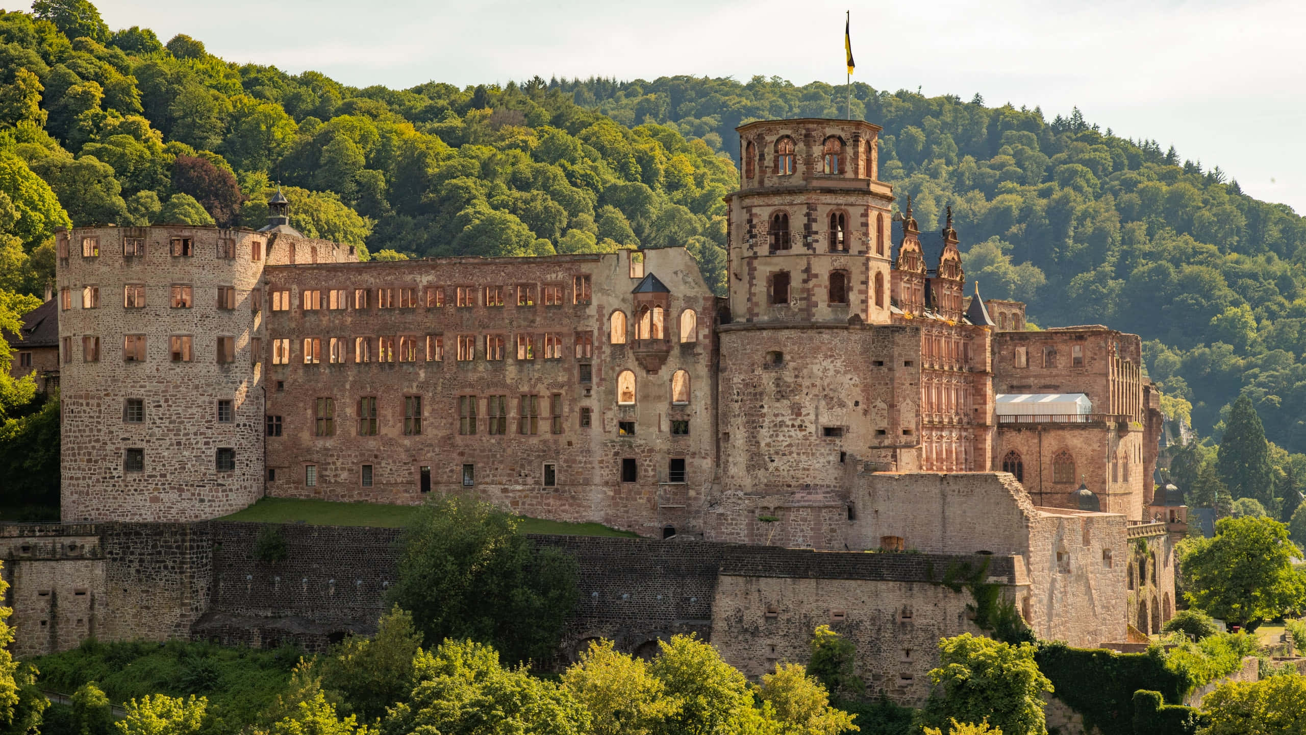 Heidelberg Castle, morning, stone castle, 2K Desktop Wallpaper