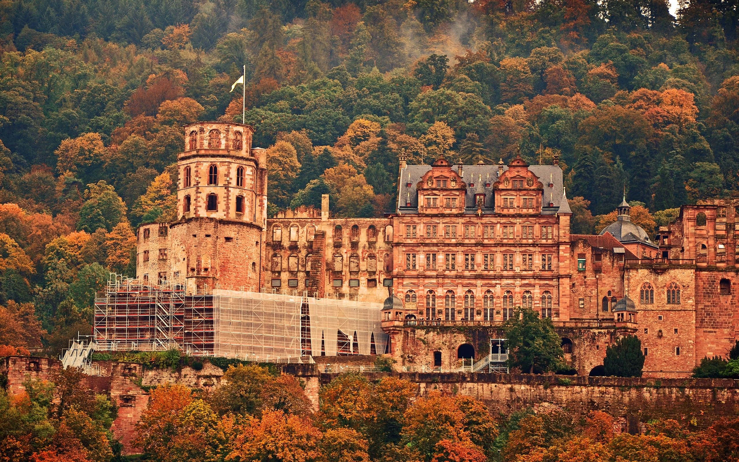 Heidelberg Castle, orange, autumn trees, 2K Desktop Wallpaper