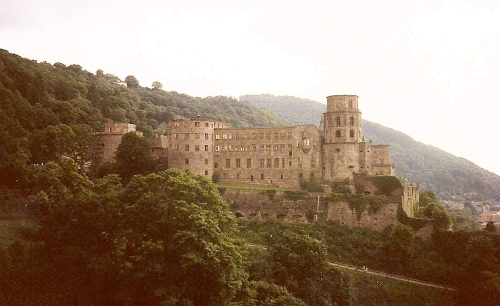 Heidelberg Castle, stone castle ruins, forested hillside, HD Desktop Wallpaper