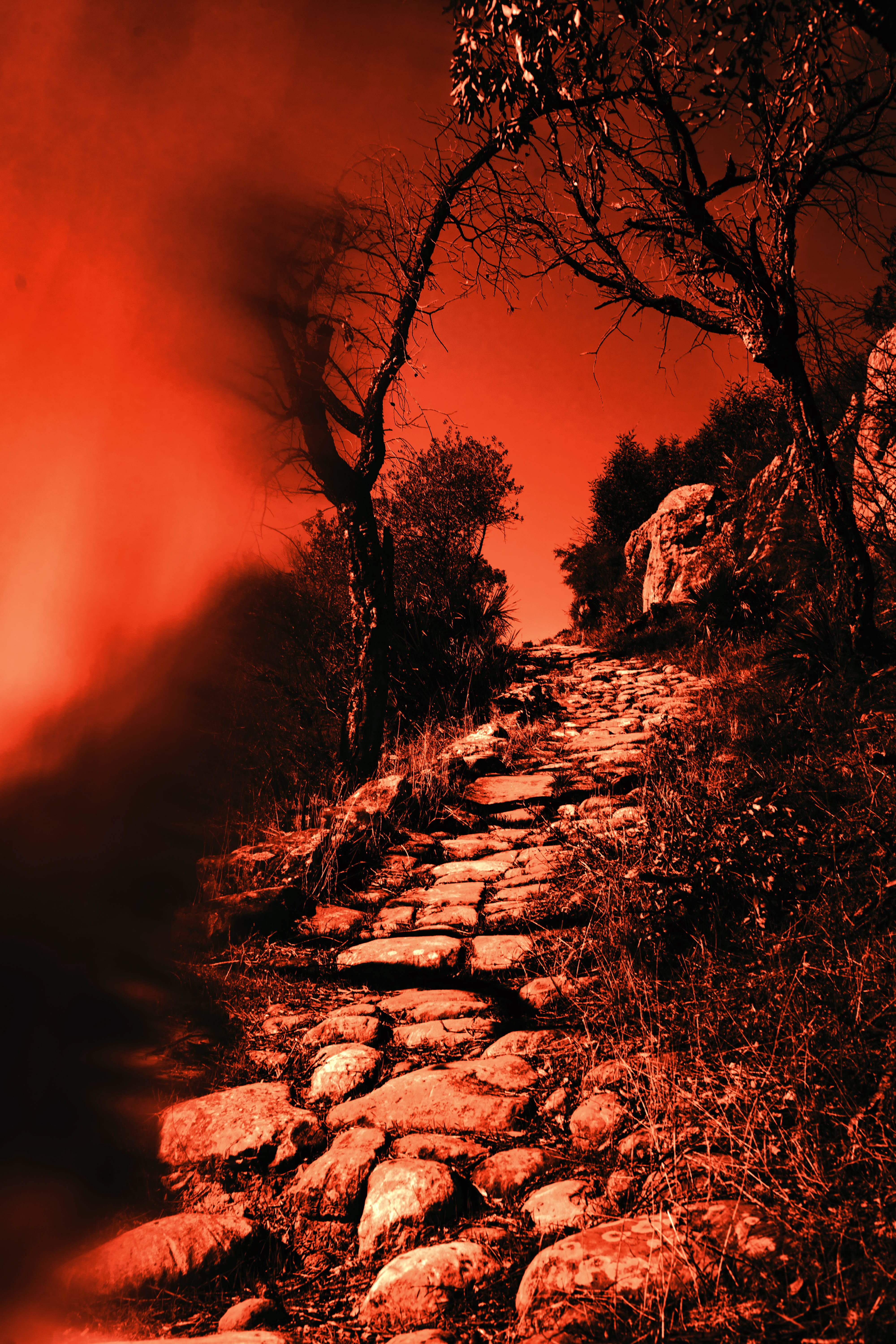 Hell 4000 x 6000, fiery red sky, dramatic sunset, 5K Phone Wallpaper