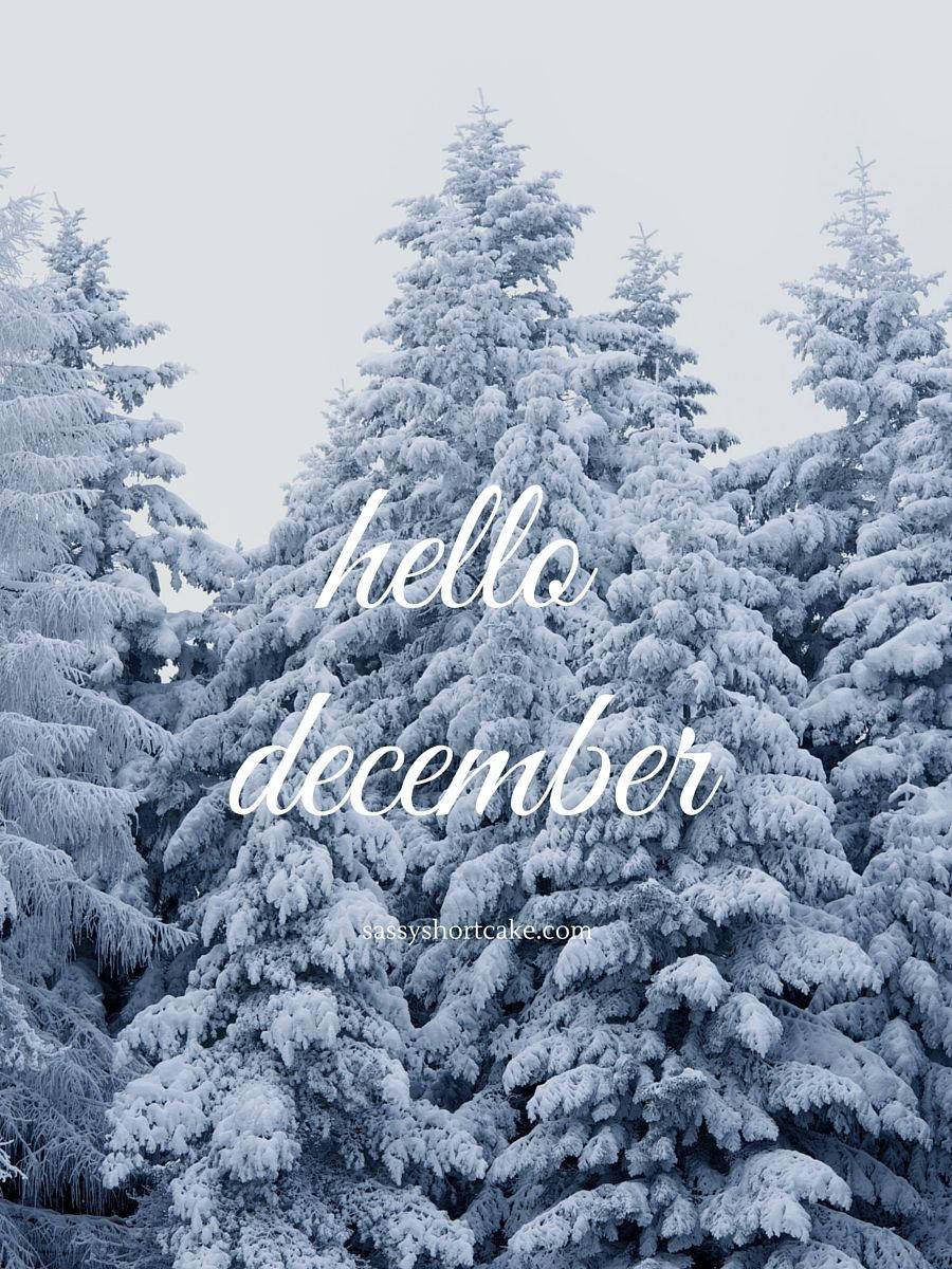 Hello December, snow-laden evergreen trees, pale winter sky, SD Phone Wallpaper