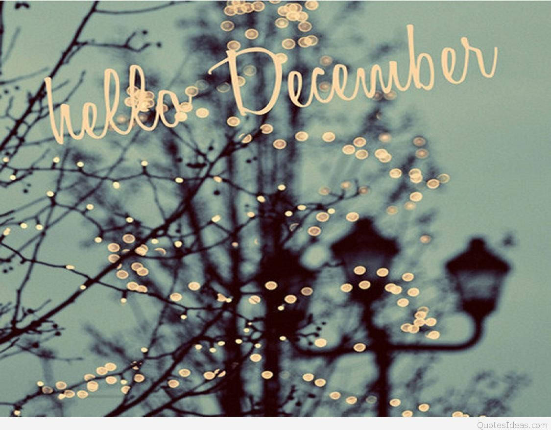 Hello December, winter tree, vintage street lamps, SD Desktop Wallpaper
