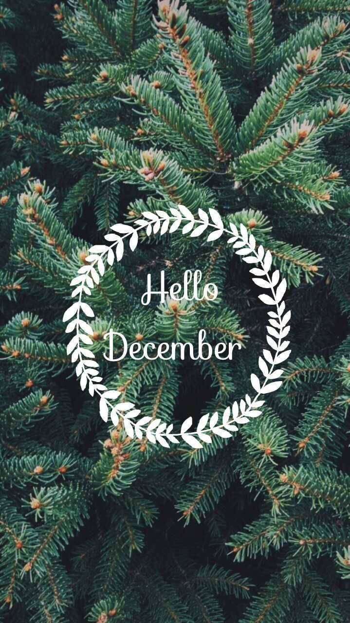 Hello December, white laurel wreath, Hello December text, HD Phone Wallpaper