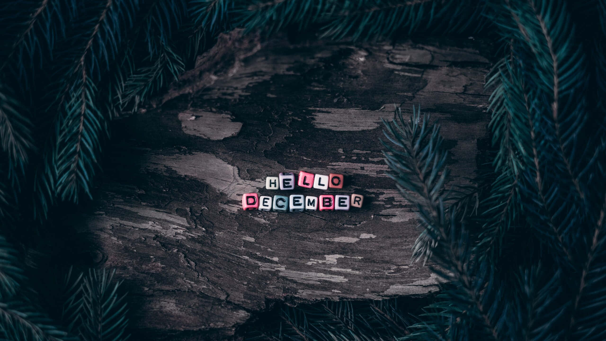 Hello December, colorful letter blocks, weathered wooden surface, 2K Desktop Wallpaper
