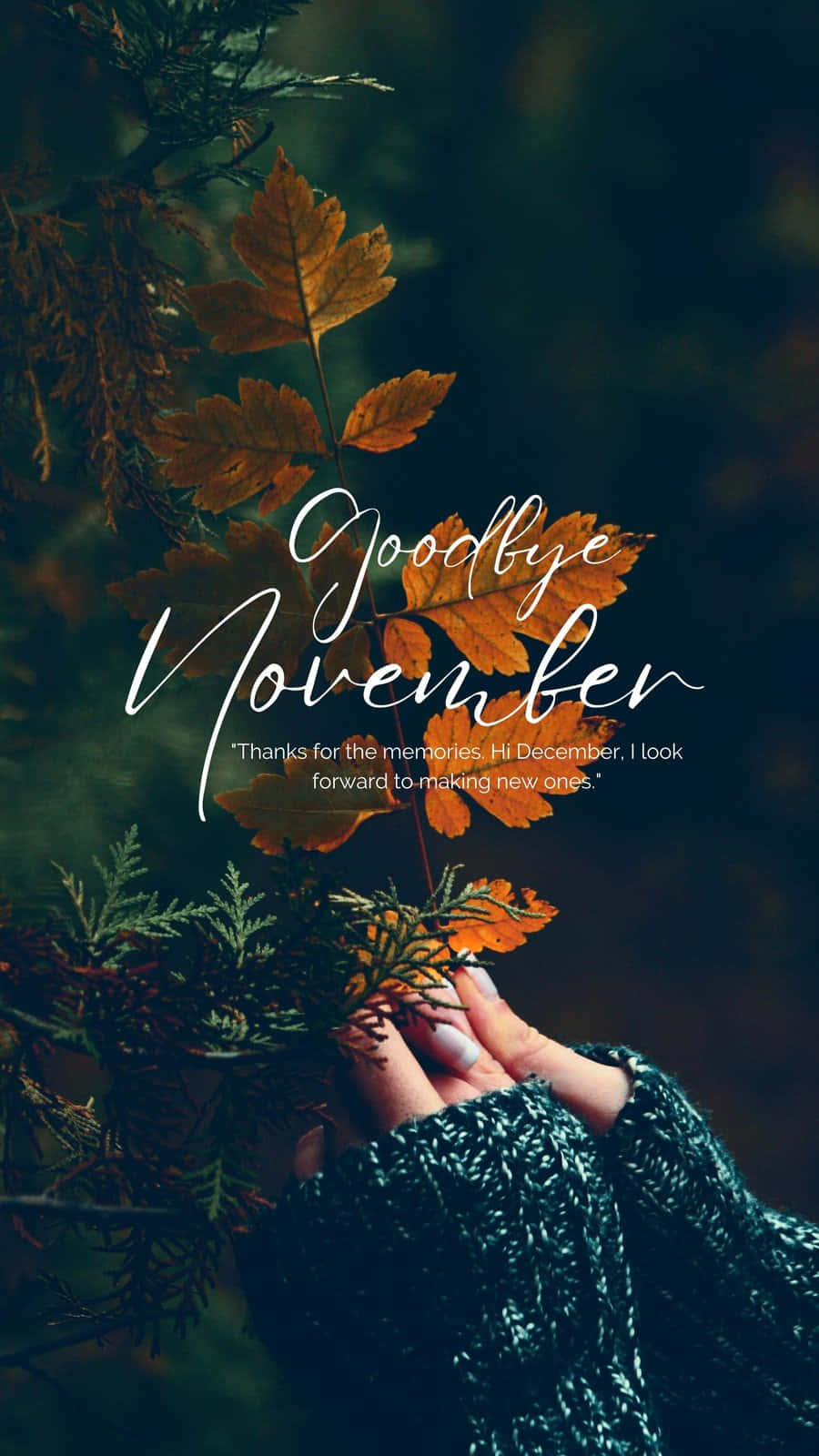 Goodbye November Hello December, autumn leaves, dark forest, HD Phone Wallpaper