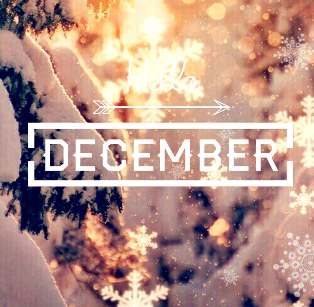 Hello December, snow-covered pine branches, bokeh background, SD Desktop Wallpaper