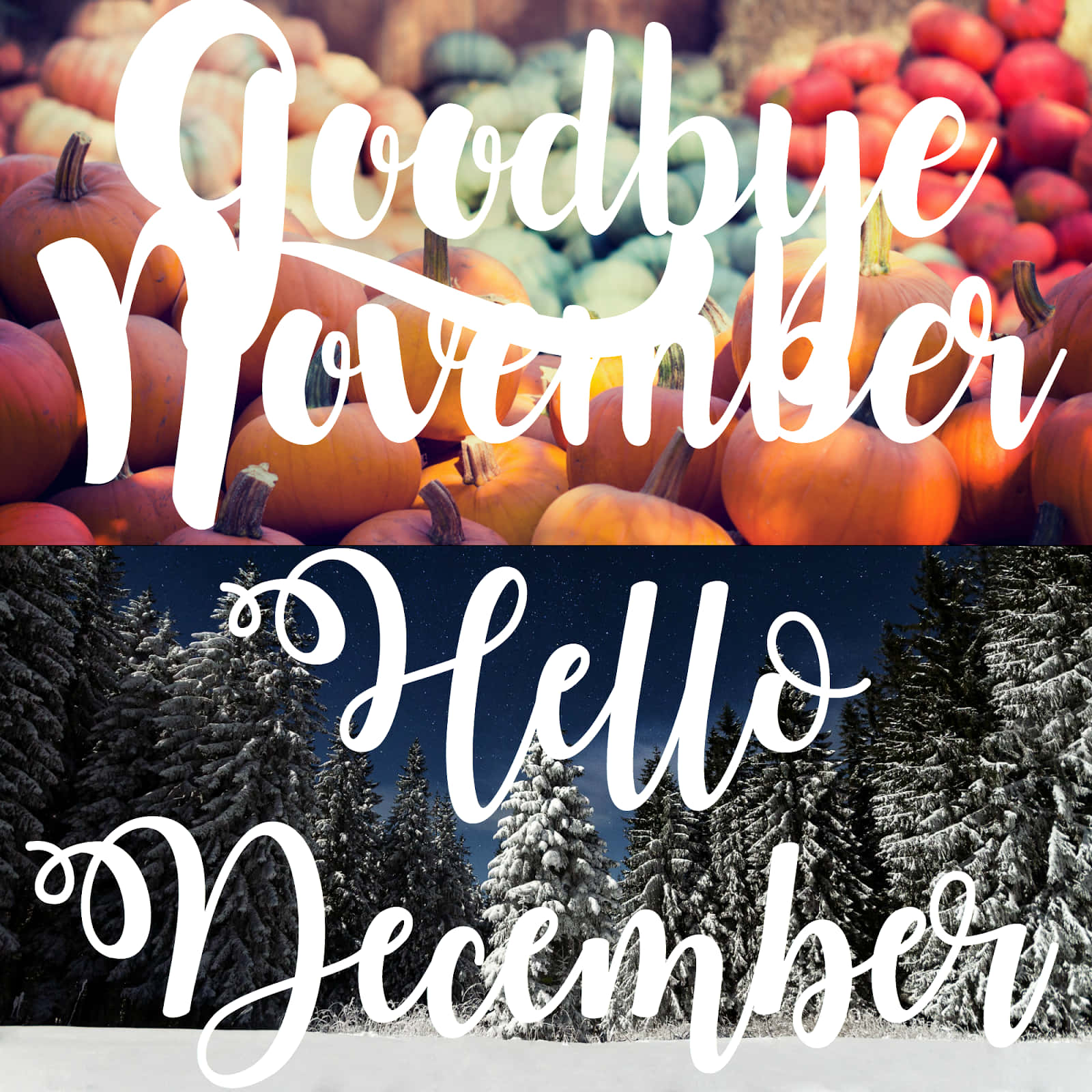 Goodbye November, Hello December, autumn pumpkins, HD Desktop Wallpaper