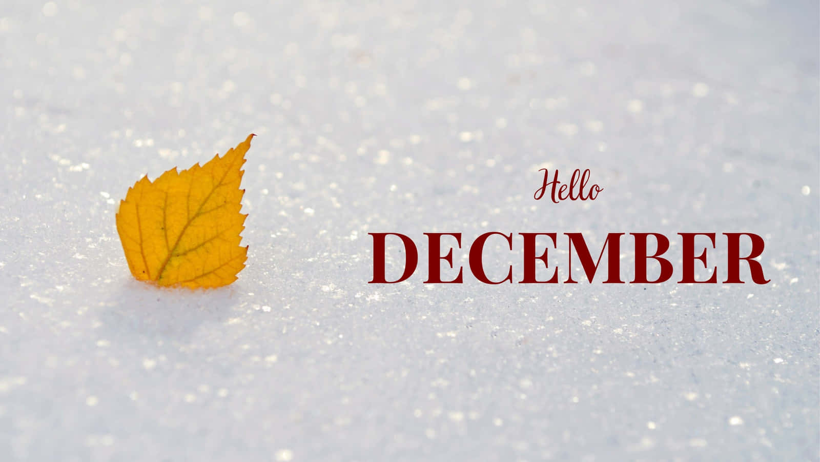Hello DECEMBER, vibrant yellow leaf, fresh white snow, HD Desktop Wallpaper