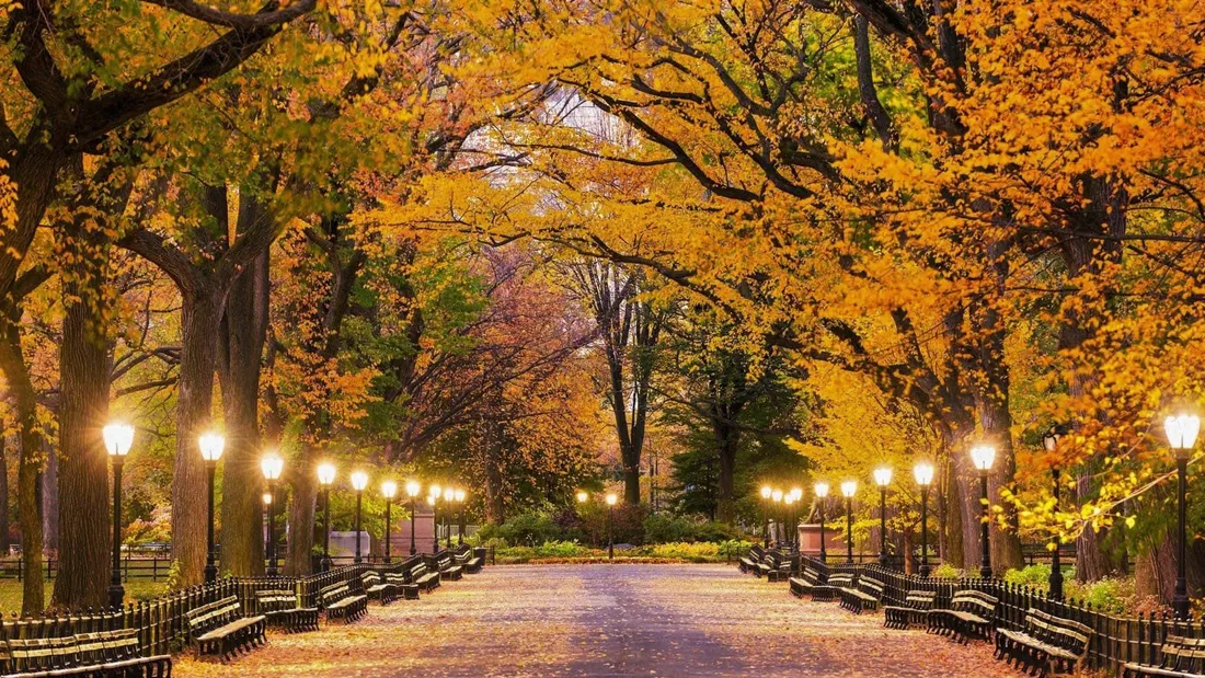 Hello Fall