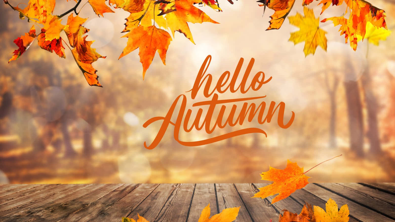 hello Fall, autumn leaves, wooden table, HD Desktop Wallpaper